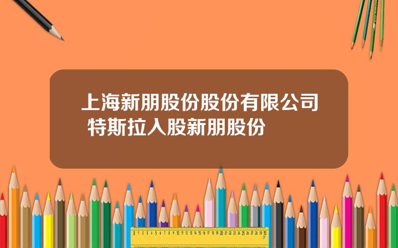 上海新朋股份股份有限公司 特斯拉入股新朋股份